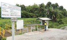 PT BSI Perkuat Komitmen Lingkungan Melalui Reklamasi Progresif Tambang Emas Banyuwangi Berkelanjutan