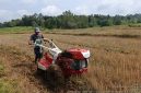 Pemanfaatan Hand Traktor Rotari KT SUMBER ABADI Desa Bringin Kecamatan Dasuk