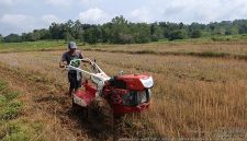 Pemanfaatan Hand Traktor Rotari KT SUMBER ABADI Desa Bringin Kecamatan Dasuk